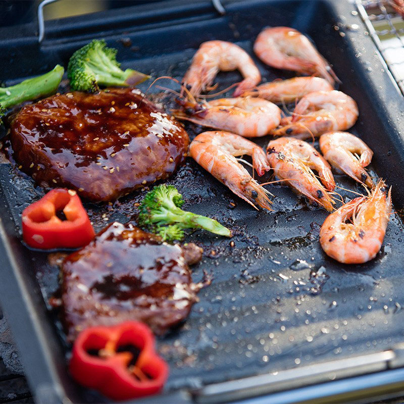Outdoors Thick Square Grill Pa – Camping Cooking Meat recenzja i cena
